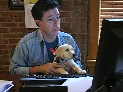colbert-puppy.png