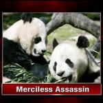 TCR-Merciless_Assassin.jpg
